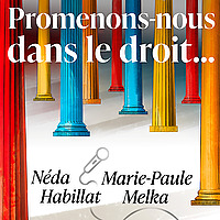 Promenons-nous dans le droit...