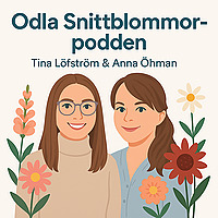 Odla Snittblommor-podden