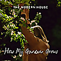 How My Garden Grows