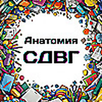 Глубокое погружение: Анатомия СДВГ