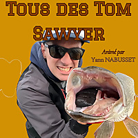 Tous des Tom Sawyer