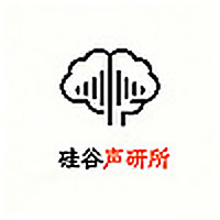 硅谷声研所