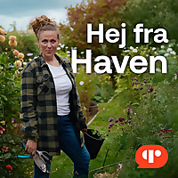Hej fra Haven