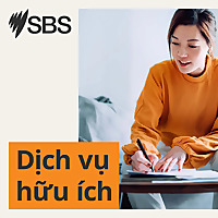 Dịch vụ hữu ích
