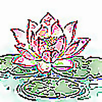 Phật Pháp Nguyên Thủy