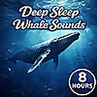 Deep Sleep Whale Sounds: Soothing Ocean Ambience for Sleep, Relaxation, Meditation, and Stress Relief