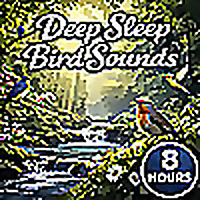 Deep Sleep Bird Sounds: Calming Nature Ambience for Rest, Relaxation, Meditation, and Stress Relief