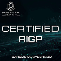 Certified: The IAPP AIGP Audio Course