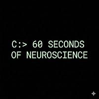 60 Seconds of Neuroscience