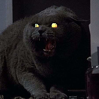 Gato Macabro