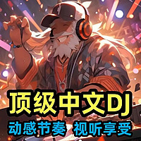 高音质中文DJ