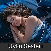 Uyku Sesleri