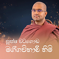 වටගොඩ මග්ගවිහාරී ස්වාමීන් වහන්සේ (Ven. Watagoda Maggavihari Thero)