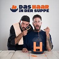 Das Haar in der Suppe