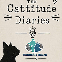 The Cattitude Diaries