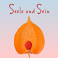 Seele und Sein Podcast