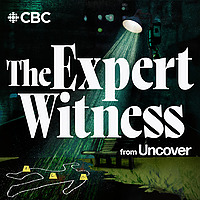 The Expert Witness