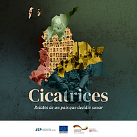 Cicatrices