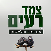 צמד רעים | יותם זמרי ואיתמר פליישמן