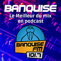 Les Podcasts des DJs de Banquise