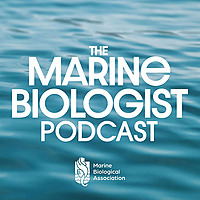 The Marine Biologist Podcast