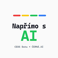 Napřímo s AI
