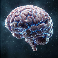 Neuroscience