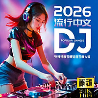 顶级中文DJ