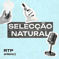 Selecção Natural