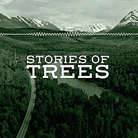 Stories of Trees