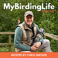 My Birding Life
