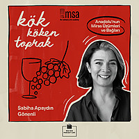 Kök Köken Toprak