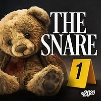 The Snare