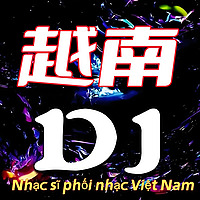 越南DJ