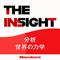 THE INSIGHT ～分析 世界の力学～