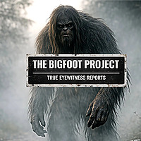 THE BIGFOOT PROJECT