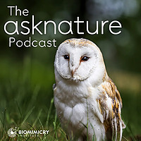 The AskNature Podcast