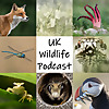 UK Wildlife Podcast