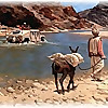 Small Wars Journal Blog