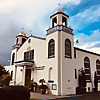 The Orthodox Vine