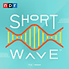 Short Wave