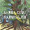 Central Coast Naturalist