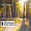 Field Notes