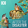After The Disaster