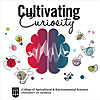 Cultivating Curiosity