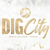 Dig City - Purdue Volleyball Podcast