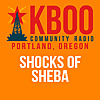 Shocks of Sheba