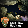 Lava Flow Habitats: The Wildlife and Geology of Craters of the Moon National Park