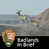 Badlands in Brief