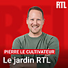 Le jardin RTL